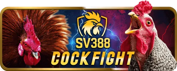 Chương trình VIP 8ku bet